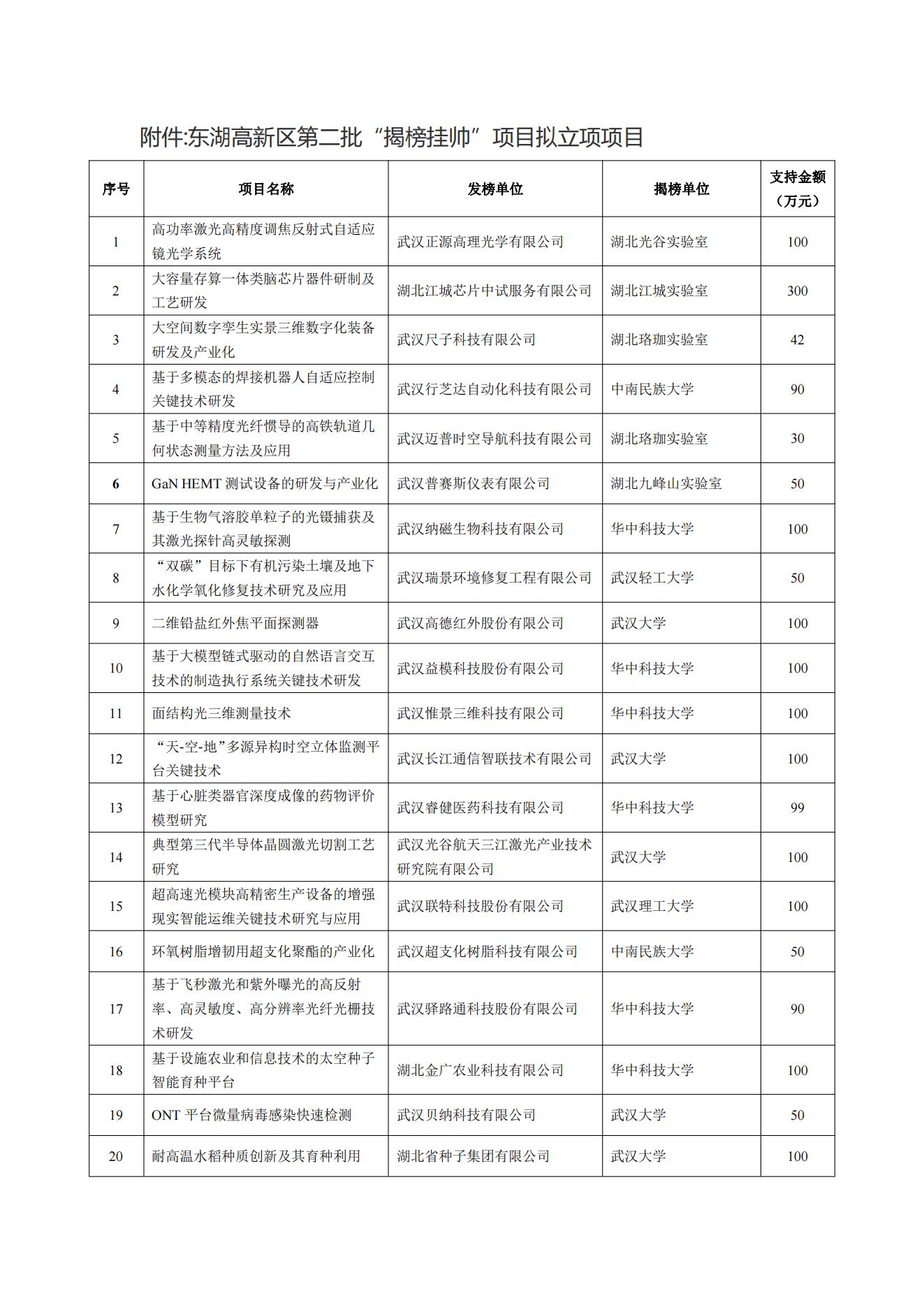 东湖高新区第二批“揭榜挂帅”项目拟立项项目.pdf_00.jpg