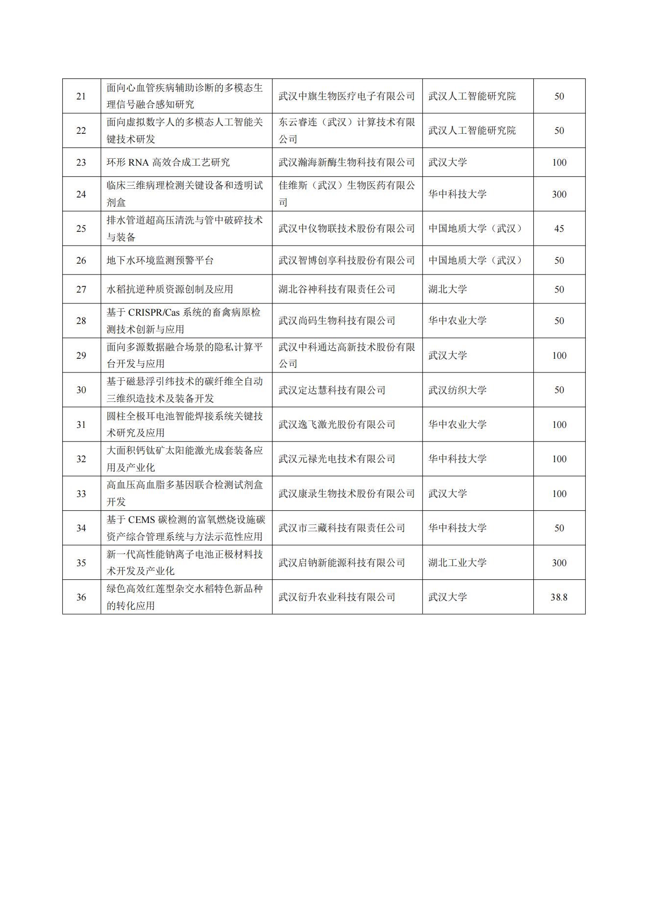 东湖高新区第二批“揭榜挂帅”项目拟立项项目.pdf_01.jpg